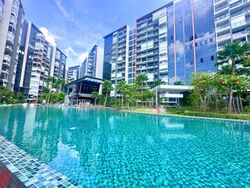 Affinity At Serangoon (D19), Apartment #481509301